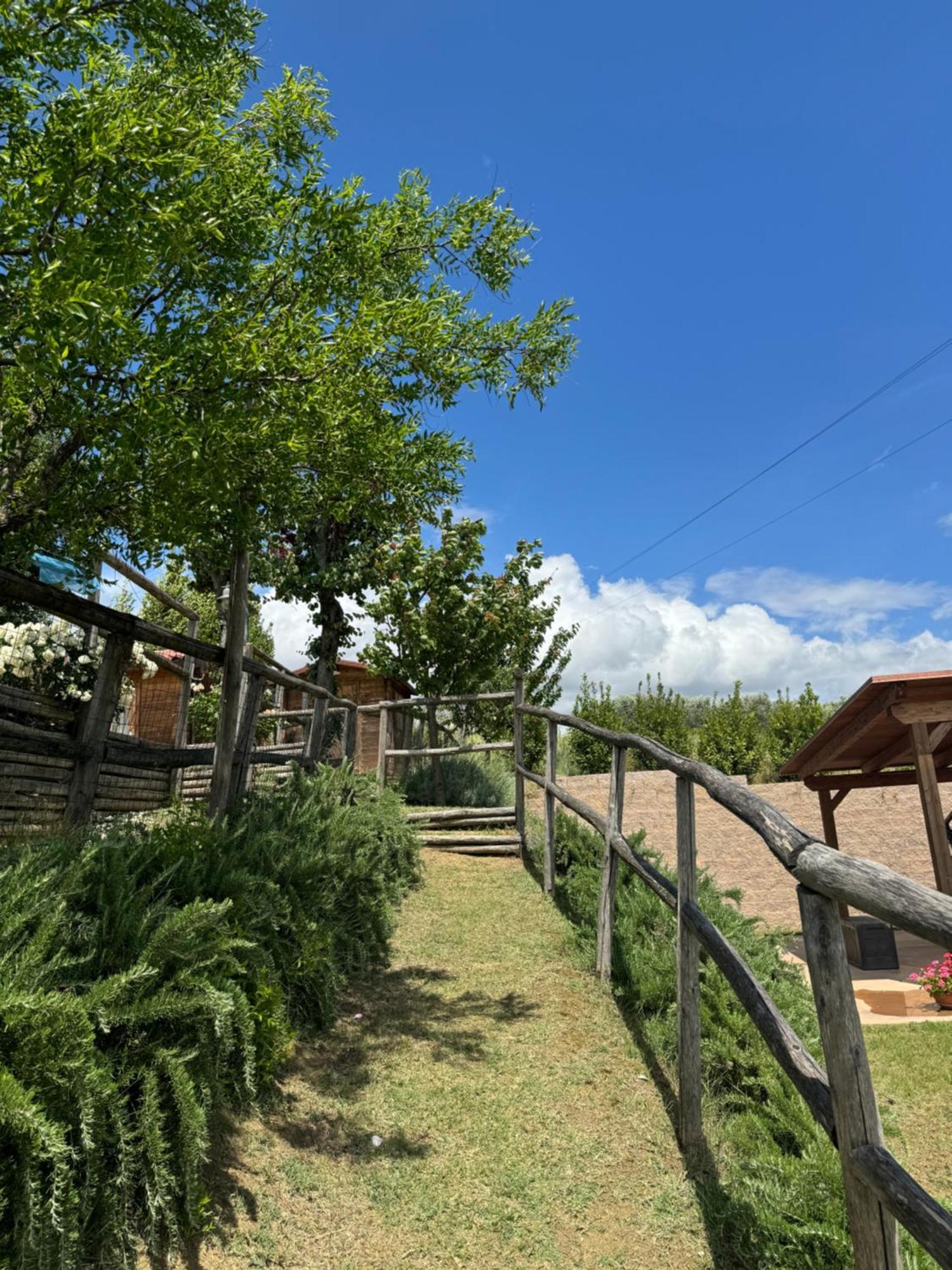 Montenovo Country House Ostra Vetere Exterior photo